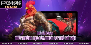 Đá Gà PG66 - Đấu Trường Rực Lửa Khiến Bet Thủ Mê Mệt