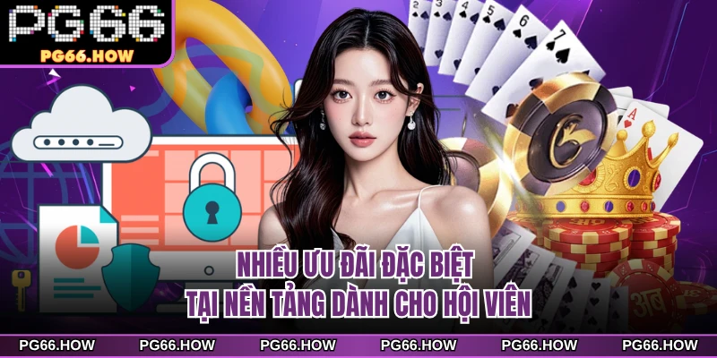 Nhiều ưu đãi đặc biệt tại nền tảng dành cho hội viên
